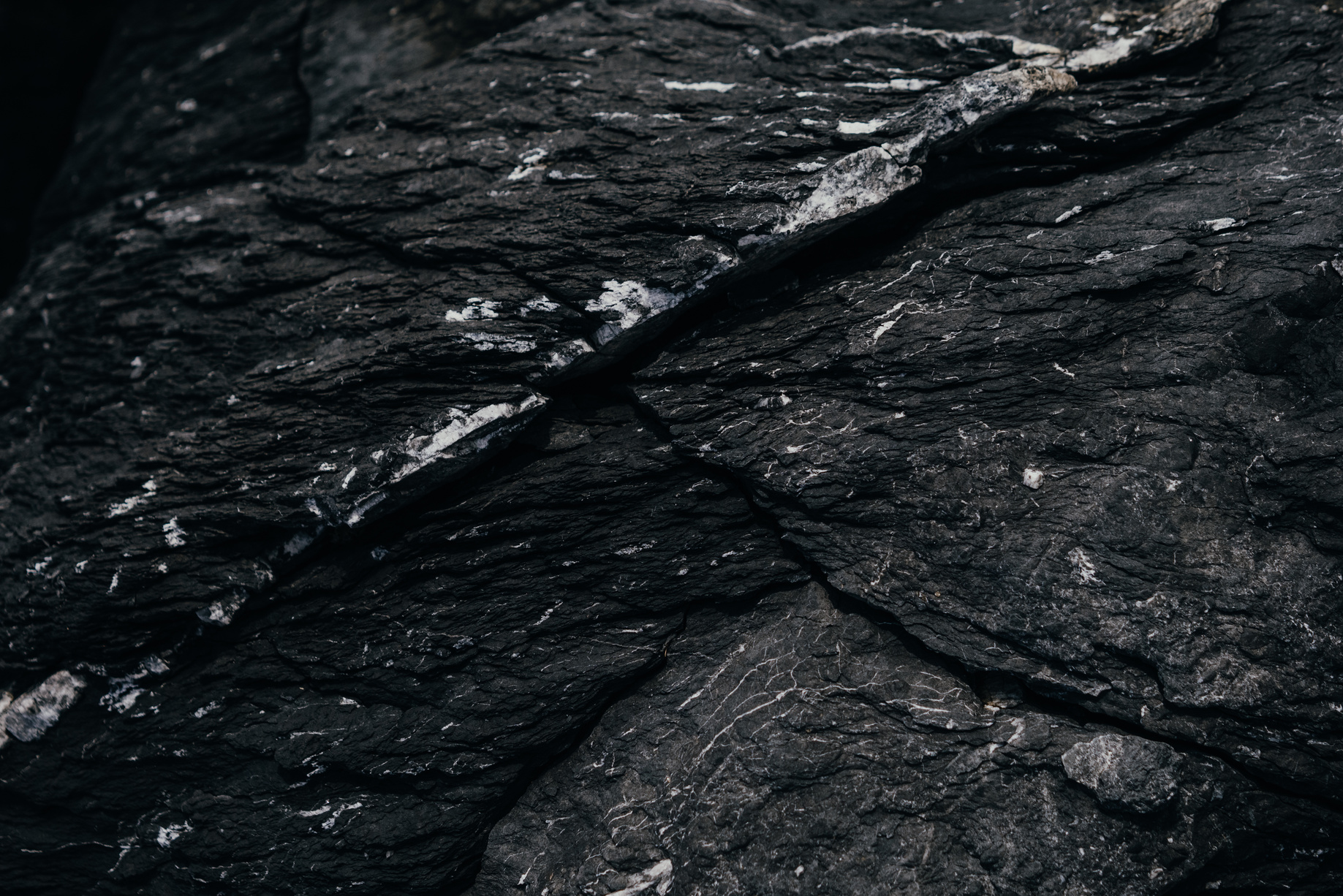 Close-Up Shot of a Gray Rock